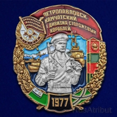 Нагрудный знак "1 дивизия сторожевых кораблей Петропавловск-Камчатский" фото