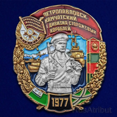 Нагрудный знак "1 дивизия сторожевых кораблей Петропавловск-Камчатский"