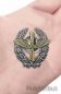 Знак Красного военного лётчика РККА. Фотография №4