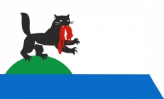 Флаг Иркутска  фото