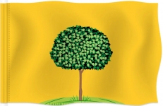 Флаг Липецка  фото