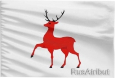 Флаг Нижнего Новгорода  фото