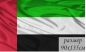 Флаг Объединённых Арабских Эмиратов. Фотография №1