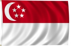 Флаг Сингапура  фото