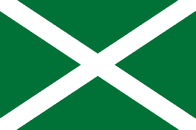 Флаг Таможни 40x60 см 