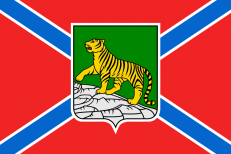 Двухсторонний флаг Владивостока фото