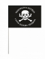 Флажок на палочке «Флаг генерала Бакланова». Фотография №1