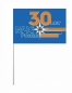 Флаг 30 лет МЧС России. Фотография №2