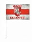 Флаг "Жыве Беларусь!" с Погоней. Фотография №3