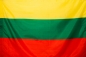 Флаг Литвы. Фотография №1