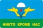 Наклейка ВДВ «Никто кроме нас» белый купол 8x12см. Фотография №1