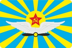 Наклейка «ВВС СССР» 8x12см  фото