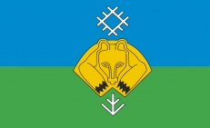 Флаг Сыктывкара  фото