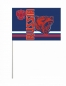 Сувенирный флаг RUSSIA с медведем. Фотография №3