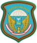 Эмблема-нашивка «76 Черниговская дивизия ВДВ». Фотография №1