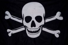 Пиратский флаг с костями  фото