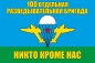 Флаг «100 Отдельная разведывательная бригада ВДВ». Фотография №1