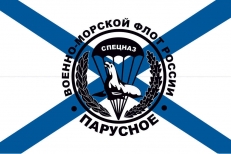 Флаг 561 ОМРП спецназа ГРУ Балтийский флот фото