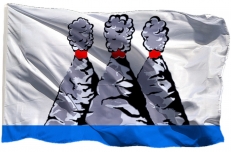 Флаг Петропавловска-Камчатского  фото