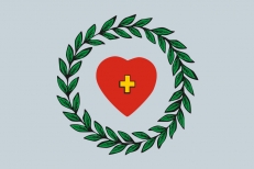 Флаг Боровска  фото