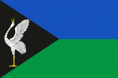 Флаг Борзинского района  фото