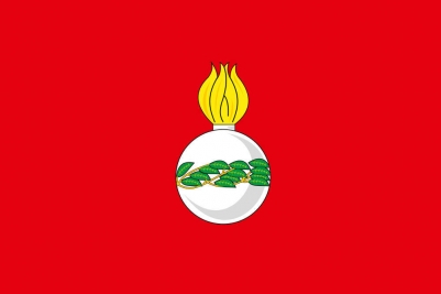 Флаг Чапаевска