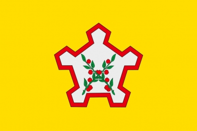Флаг Чаплыгинского района