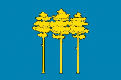 Флаг Димитровграда