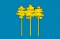 Флаг Димитровграда. Фотография №1