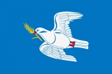 Флаг Духовницкого района  фото
