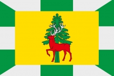 Флаг Елецкого района  фото