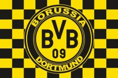 Флаг "FC Borussia Dortmund" клетка фото