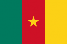 Флаг Камеруна  фото
