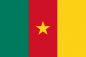 Флаг Камеруна. Фотография №1