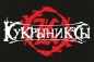 Флаг группа "Кукрыниксы". Фотография №1
