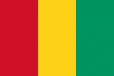 Флаг Гвинеи  фото