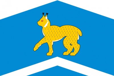 Флаг Исетского района