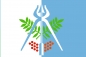 Флаг Ижевска. Фотография №1