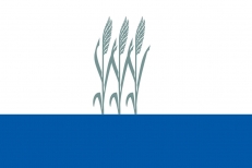 Флаг Камышина фото