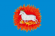 Флаг Каргополя  фото