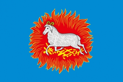 Флаг Каргополя