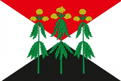 Флаг Кимовского района