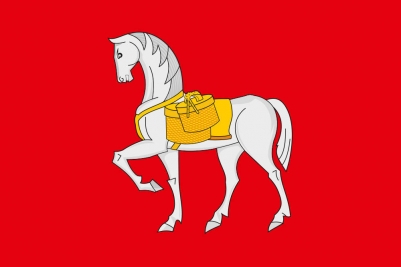 Флаг Коношского района