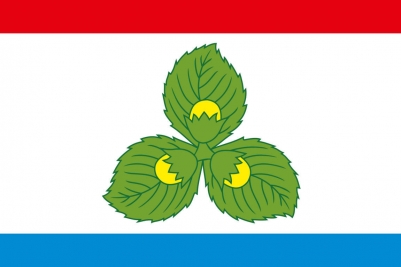Флаг Краснознаменского района