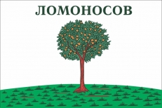 Флаг г.Ломоносов Ленинградской области  фото