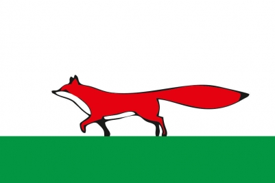Флаг Мезенского района