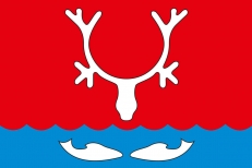 Флаг Нарьян-Мара  фото