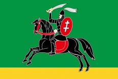 Флаг Невельского района  фото