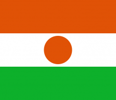 Флаг Нигера фото