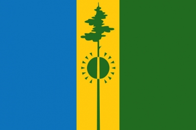 Флаг Нижнекамска
